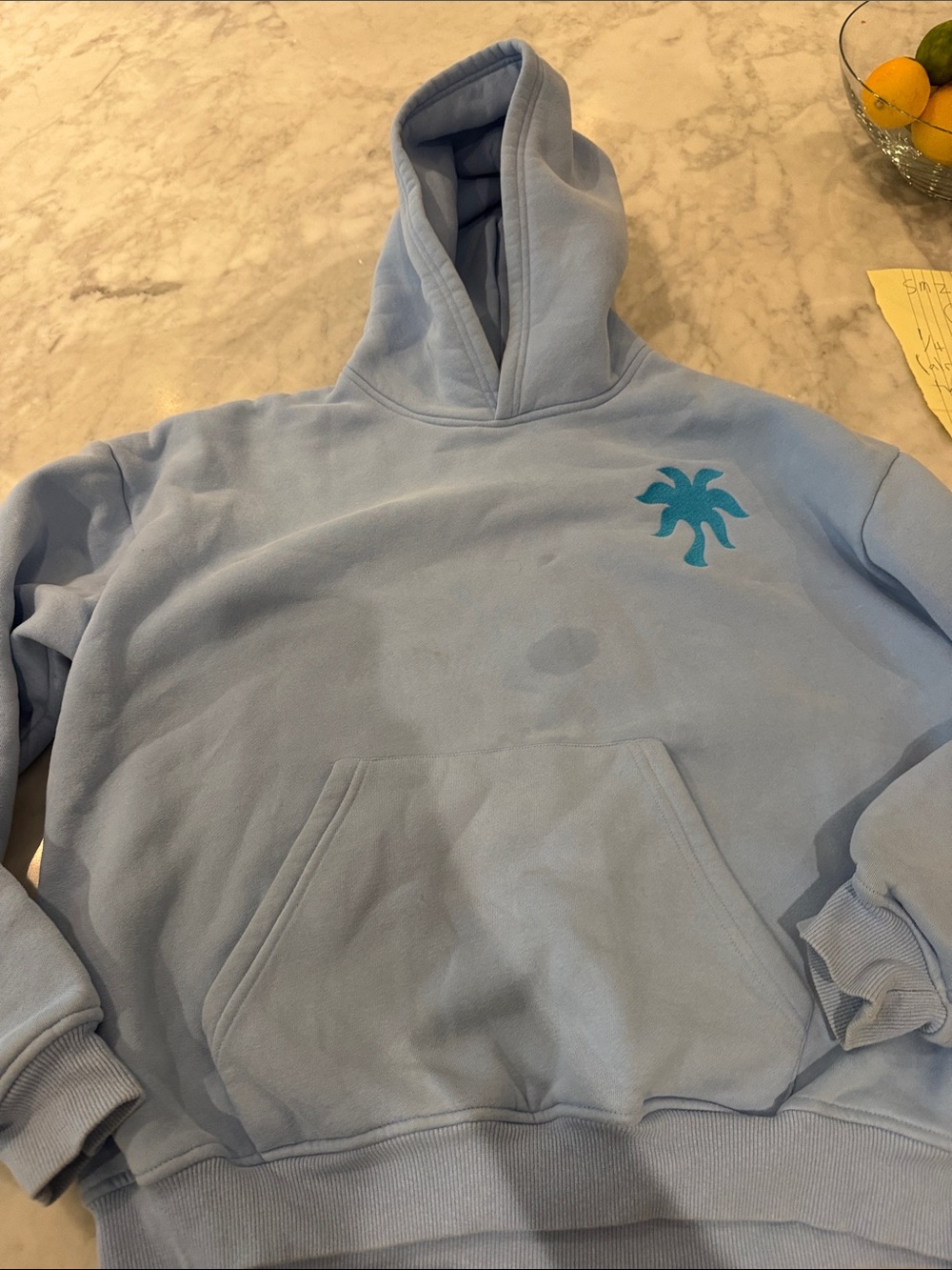 Women's Light Blue Palm-Detail Hoodie